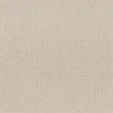 Purrfection Lasting Luxury  MOCHA CREAM LL_00151_ZZ097