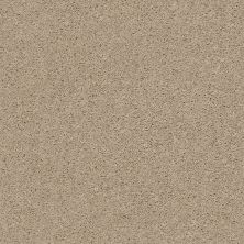 Explorer Lasting Luxury  HAZELNUT CREAM LL_00172_ZZ099