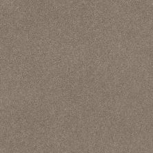 Explorer Lasting Luxury  SMOKEY ASH LL_00574_ZZ099