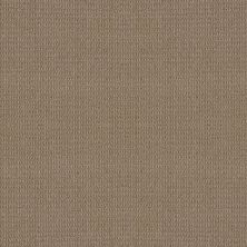 Portofino Lasting Luxury  PLAZA TAUPE LL_00734_ZZ232