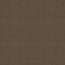 Portofino Lasting Luxury  SHITAKE LL_00758_ZZ232