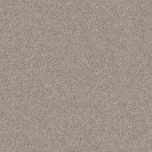 Park Hill Lasting Luxury  ESSENTIAL LL_0171B_ZZ240