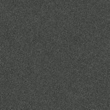 Travertino Too Lasting Luxury  MIDNIGHT LL_00456_ZZ241