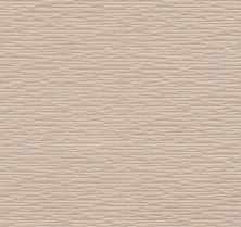Purrfect Match Lasting Luxury  SERENITY LL_00151_ZZ242