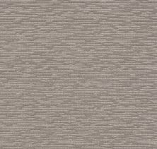 Purrfect Match Lasting Luxury  DESERT TWILIGHT LL_00551_ZZ242