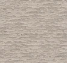Purrfect Match Lasting Luxury  SMOKEY GRAY LL_00553_ZZ242