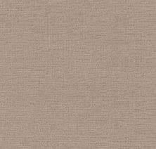 Purrfect Match Lasting Luxury  MOCHA LL_00714_ZZ242