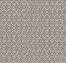 Picture Purrfect Lasting Luxury  DESERT TWILIGHT LL_00551_ZZ243