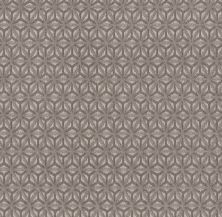 Picture Purrfect Lasting Luxury  SMOKEY GRAY LL_00553_ZZ243