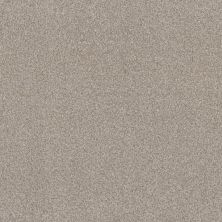 Terra Nova Lasting Luxury  SPUN COTTON LL_00172_ZZ252