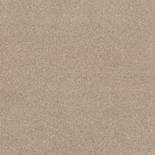Terra Nova Lasting Luxury  BEACH GRASS LL_00223_ZZ252