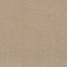 Terra Nova Lasting Luxury  REED LL_00224_ZZ252