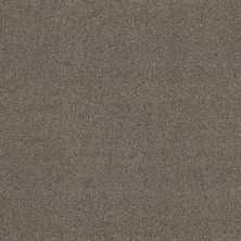 Terra Nova Lasting Luxury  ARROWHEAD LL_00536_ZZ252