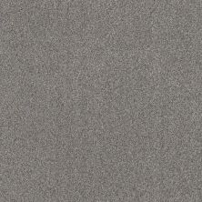 Terra Nova Lasting Luxury  CHELSEA FOG LL_00544_ZZ252