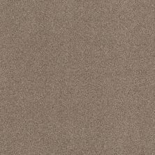 Terra Nova Lasting Luxury  ROASTED LL_00714_ZZ252