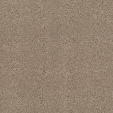 Terra Nova Lasting Luxury  LANDSCAPE LL_00734_ZZ252