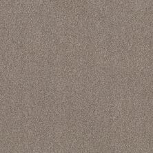 Terra Nova Lasting Luxury  PASHMINA LL_00754_ZZ252