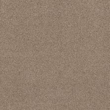 Terra Nova Lasting Luxury  NUTSHELL LL_00764_ZZ252