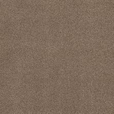 Terra Nova Lasting Luxury  RANCH LL_00765_ZZ252
