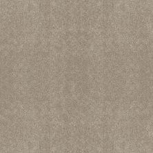 So Suite Lasting Luxury  WINTER OAK LL_00113_ZZ256