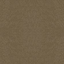 So Suite Lasting Luxury  CROWN POINT LL_00225_ZZ256