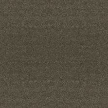 So Suite Lasting Luxury  PINECONE LL_00736_ZZ256