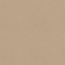 Del Vista Lasting Luxury  CORNFLOWER LL_00212_ZZ262