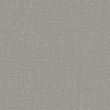 Del Vista Lasting Luxury  SILVER FOX LL_00541_ZZ262