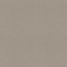 Del Vista Lasting Luxury  PEWTER LL_00558_ZZ262