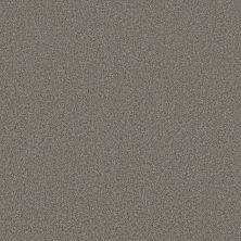 Anderson Tuftex Fabulous Flannel Gray 00554_ZZ280