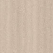 Kinsale Lasting Luxury  STONE DUST LL_00113_ZZ281
