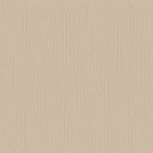 Kinsale Lasting Luxury  GROUND FLAX LL_00123_ZZ281