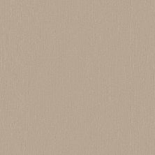 Kinsale Lasting Luxury  FILTERED LIGHT LL_00173_ZZ281