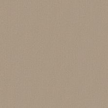 Kinsale Lasting Luxury  ROLLED OATS LL_00175_ZZ281