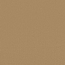 Timeless Charm Lasting Luxury  TOAST LL_00224_ZZ284