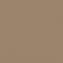 Timeless Charm Lasting Luxury  TAWNY LL_00724_ZZ284