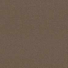Timeless Charm Lasting Luxury  CAPPUCCINO LL_00758_ZZ284