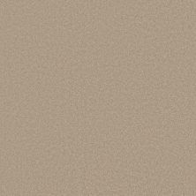 Sensational Beauty Lasting Luxury  BUFFED LL_00173_ZZ285