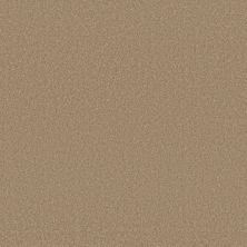 Sensational Beauty Lasting Luxury  BISCUIT LL_00174_ZZ285