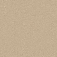 Sensational Beauty Lasting Luxury  SCROLL LL_00222_ZZ285