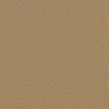 Sensational Beauty Lasting Luxury  TOAST LL_00224_ZZ285