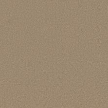 Sensational Beauty Lasting Luxury  TAWNY LL_00724_ZZ285