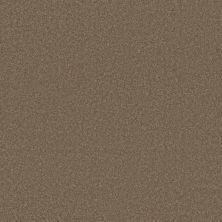Sensational Beauty Lasting Luxury  CAPPUCCINO LL_00758_ZZ285