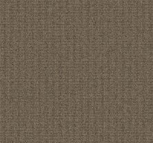 Aladdin Commercial Real Elements Brown Tones 1Z26-837B