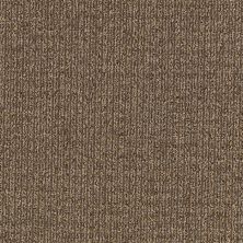 Aladdin Commercial Textural Harmony Outback 1Z27-111