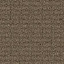 Aladdin Commercial True Form Brown Tones 1Z30-837B