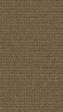 Aladdin Commercial True Form Textural Beige 1Z30-838