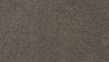 Mohawk Smartstrand Silk Simply Spectacular 824 27754-824