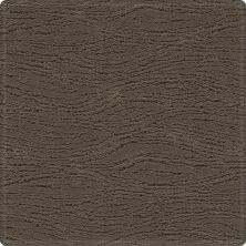 Mohawk Smartstrand Silk Untamed Chic 839 28332-839