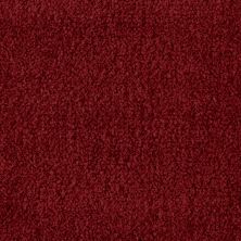 Aladdin Commercial Influencer 30 Dark Crimson 2B207-363